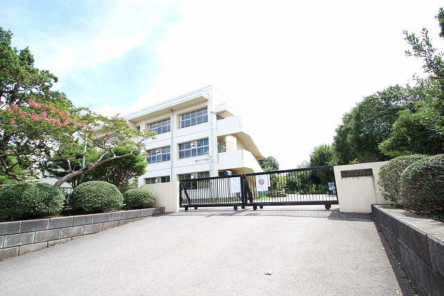 Junior high school. 803m until the Chiba Municipal Chishirodaiminami junior high school