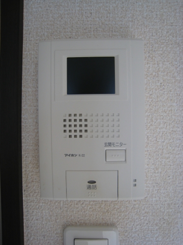 Security. TV monitor with intercom. 