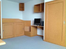 Living and room. The room spacious with storage enhancement