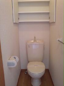 Toilet. It comes with storage shelves