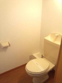 Toilet. Spacious toilet space