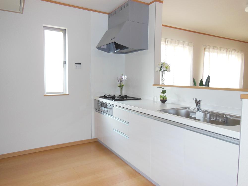 Kitchen. Indoor (11 May 2013) Shooting