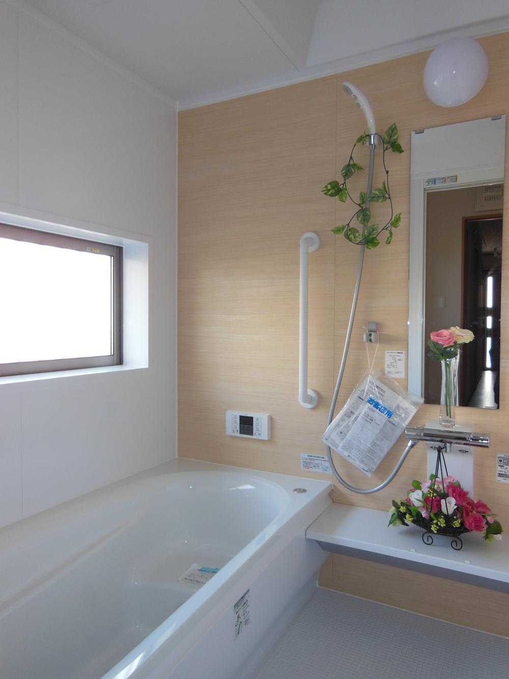 Bathroom. Local (11 May 2013) Shooting