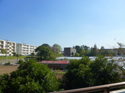 View. Green is rich and quiet residential area