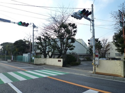 Junior high school. 800m to Katsushika junior high school (junior high school)