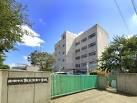 Primary school. 562m to Funabashi Minami elementary school (elementary school)