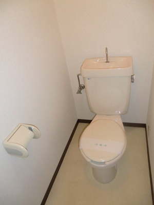 Toilet. It is a Western-style toilet