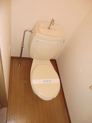 Toilet. Toilet