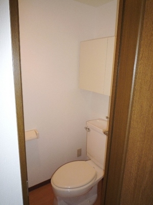 Toilet. Convenient storage space with a toilet