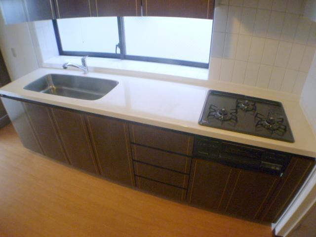 Kitchen. Ease of use Is the importance of the kitchen is convinced also wife