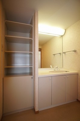 Washroom. Washroom is also substantial mirror large storage.