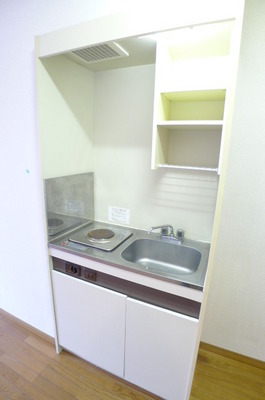 Kitchen. Kitchen (electric 1-neck)