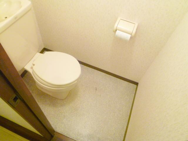 Toilet. Another room is the rug. There is also a storage.