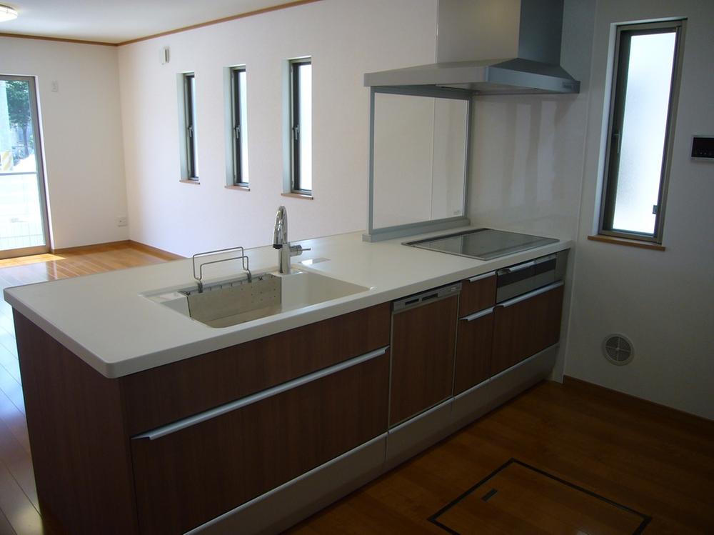 Kitchen. Dishwasher with machine IH cooking heater face-to-face kitchen