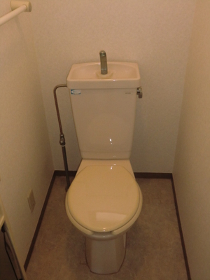 Toilet. Western-style toilet