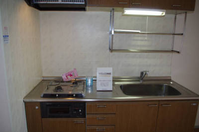 Kitchen. Two-burner stove, With grill