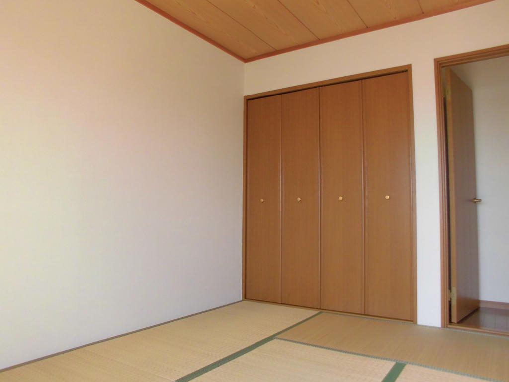 Other room space. Sunny Japanese-style