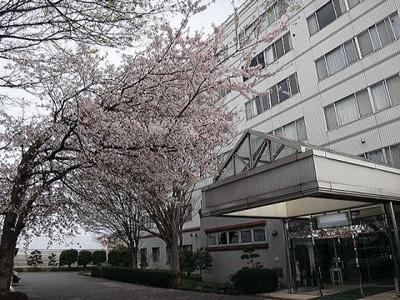 Hospital. 1001m until the medical corporation Association Ureshiizumi Board Oshima Memorial Ureshiizumi hospital