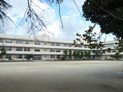 Primary school. Sandwiched until the elementary school (elementary school) 550m