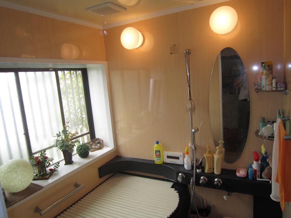 Bathroom. Indoor (07 May 2013) Shooting It has been replaced in the unit bus