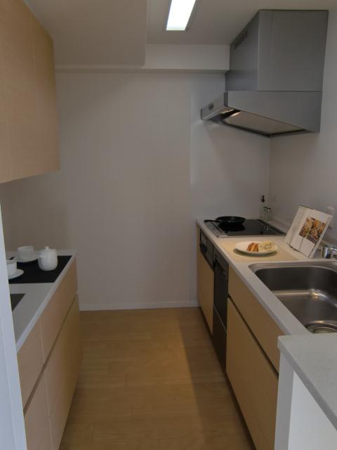 Kitchen. Indoor (11 May 2013) Shooting