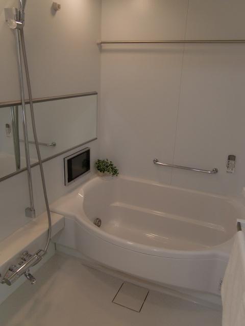 Bathroom. Indoor (11 May 2013) Shooting