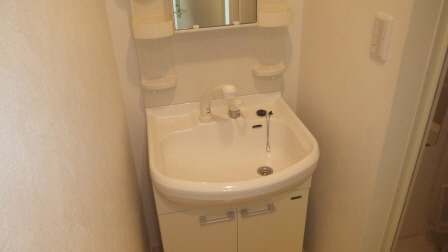 Washroom. With shampoo dresser.