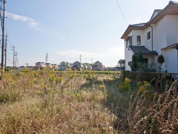 Local land photo