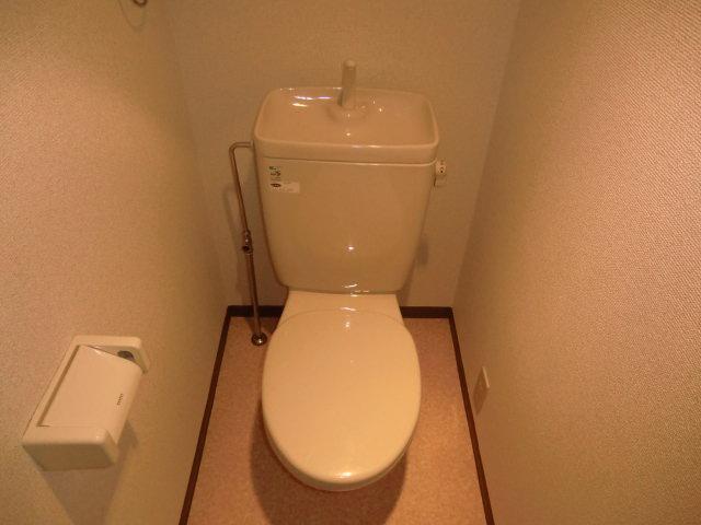 Toilet. Bidet can be installed