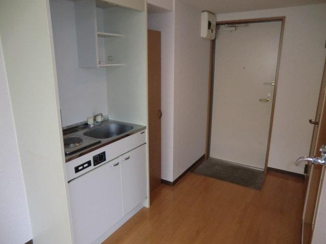 Other room space. It is a mini kitchen but we also attached storage