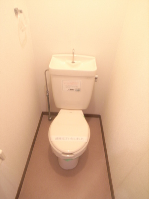 Toilet. Western-style type of flawless ☆