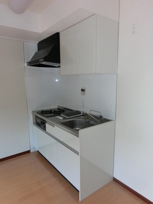 Kitchen. Kitchen room