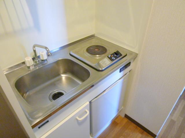 Kitchen. Electric stove, Mini fridge, Enough because living alone.