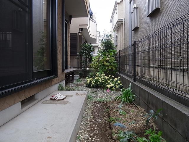 Garden. Garden space