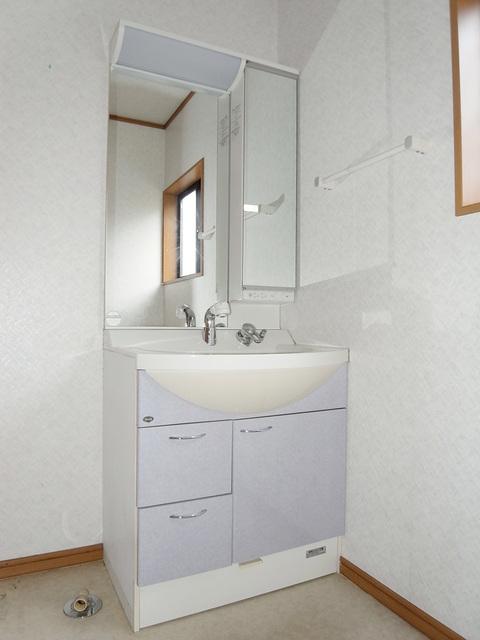 Wash basin, toilet. Vanity shower