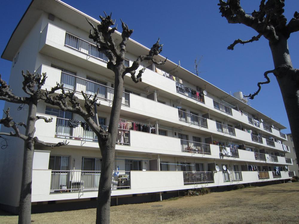 Local appearance photo. Local (12 May 2013) Shooting