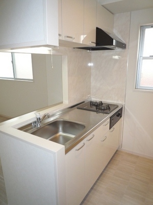 Kitchen. 2-burner stove of face-to-face system Kitchen There is a window lighting good