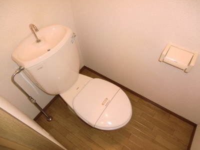 Toilet. It is a western style of your toilet