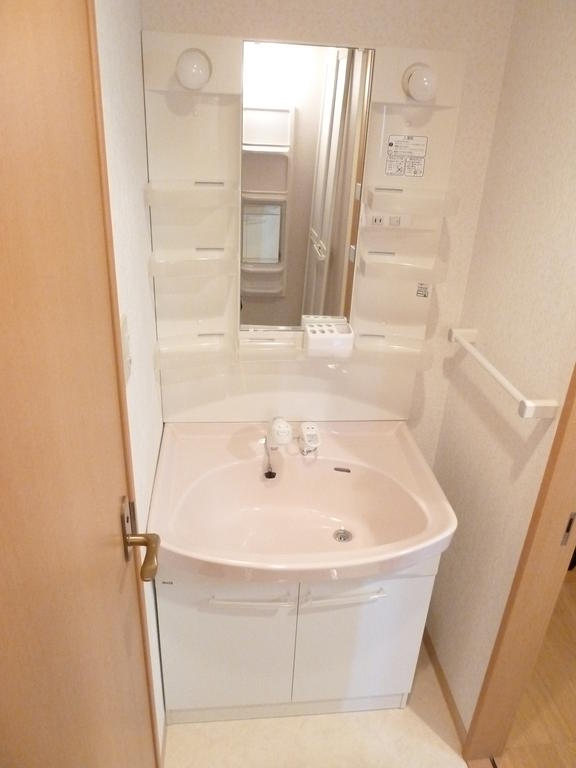 Washroom. It is convenient with a shampoo dresser.