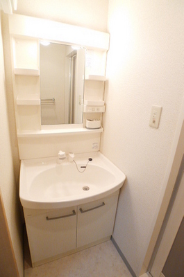 Washroom. Bathroom Vanity