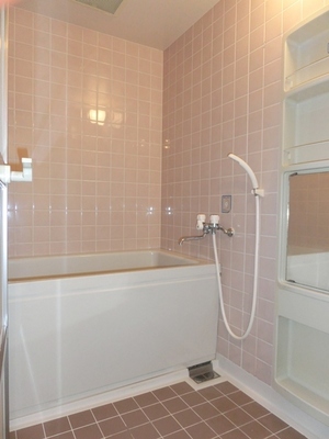 Bath. Bathroom with add cooking function