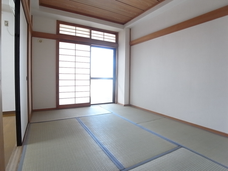 Other room space. Tatami rooms she can purr