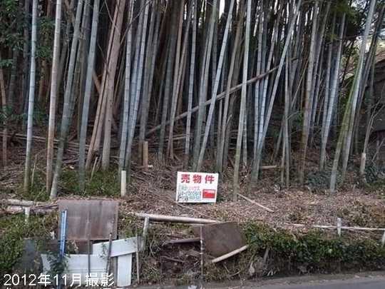 Local land photo