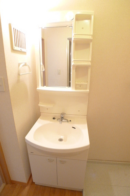 Washroom. Bathroom vanity