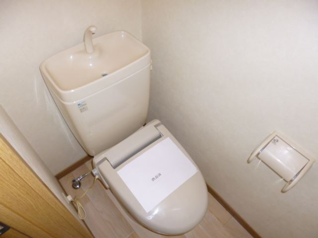 Toilet. Western-style toilet