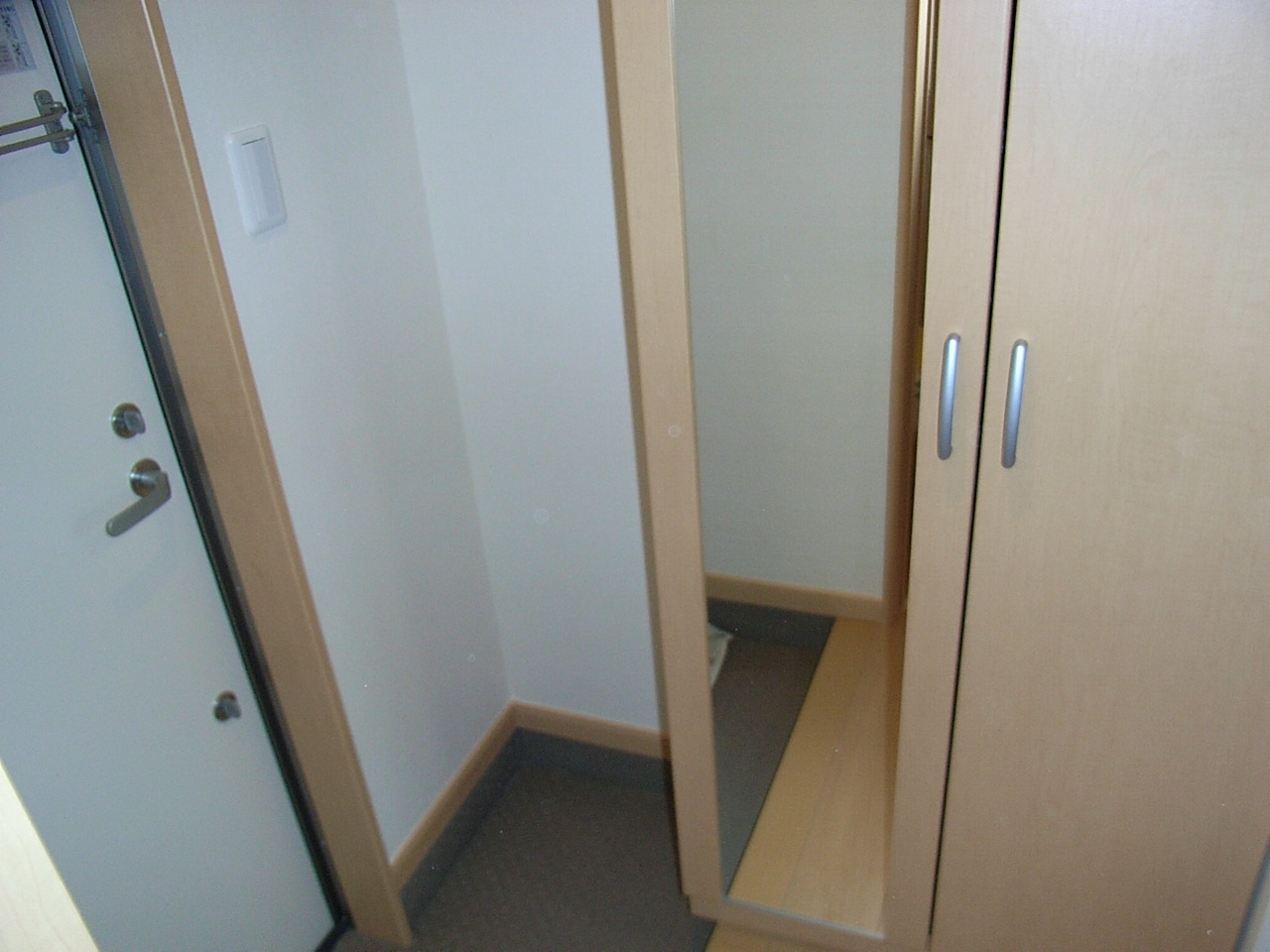 Entrance. Shoes closet with a full-length mirror mirror