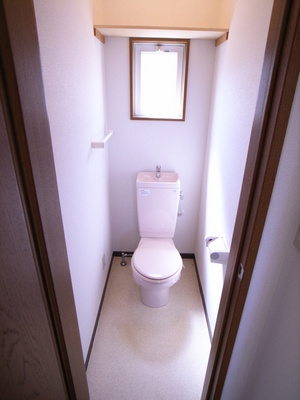 Toilet. Beautiful toilet with cleanliness!