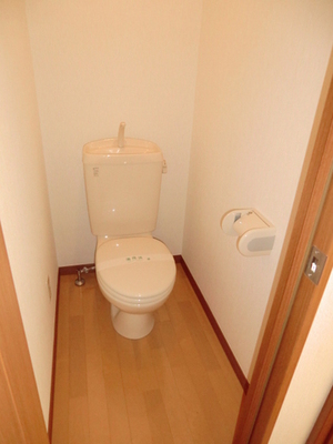 Toilet. It is a western style of your toilet