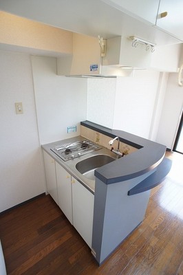 Kitchen. 2-neck with gas stove. Convenient because there is up and down storage. 