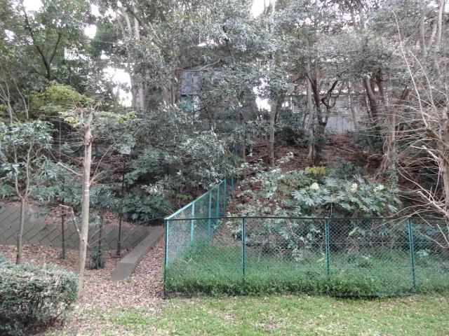 View photos from the dwelling unit. It is lush view. Outdoor light in the vicinity, Security is also safe because there is a surveillance camera.